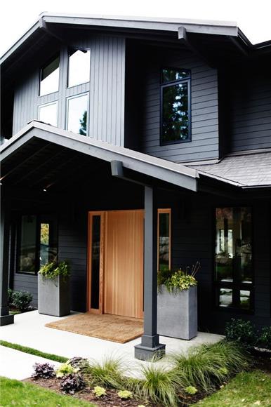 Scandinavian Design - Black House Exterior Design