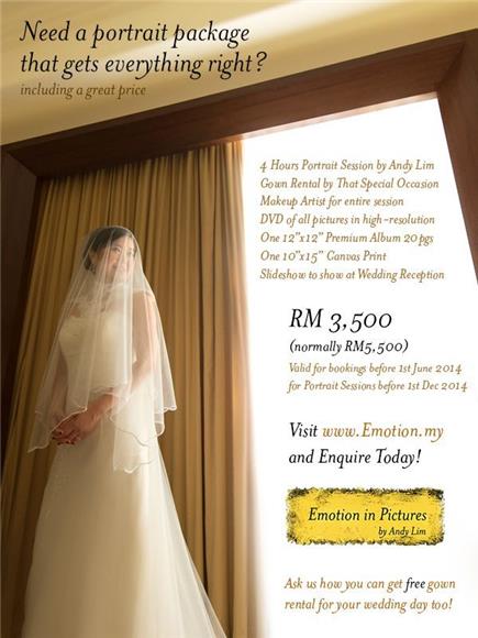 The Perfect Package - Wedding Gown