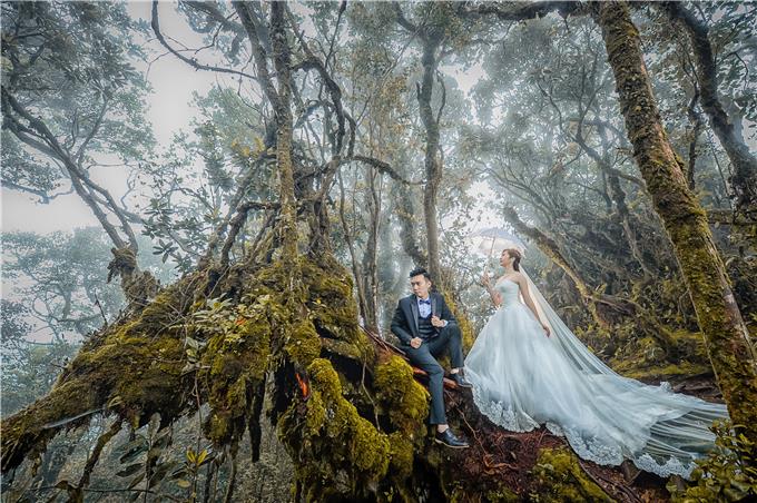 Choose Ideal - Wedding Photo Shoot