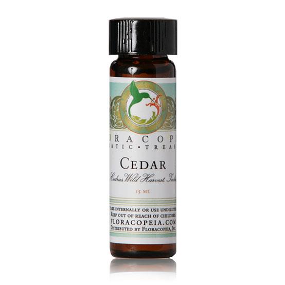 Cedar Essential Oil
