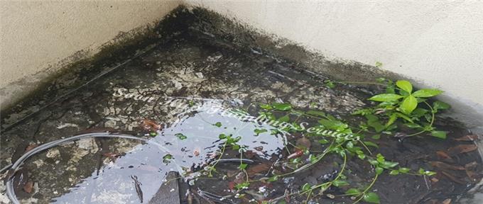 Waterproofing Contractor In Malaysia - Fixing Concrete Flat Roof Leakage