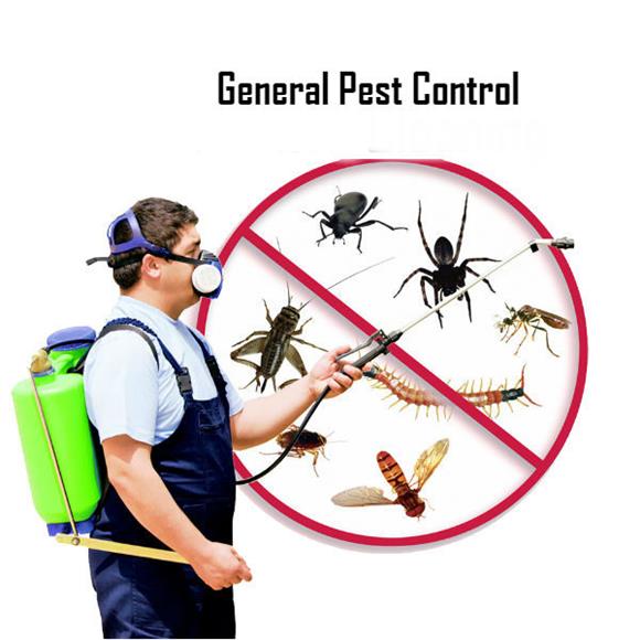 Services All Times - Pest Control Association Malaysia
