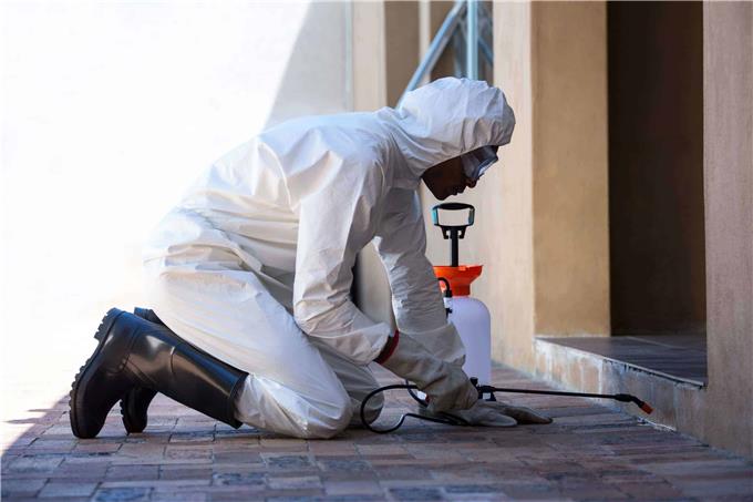 The Best Pest Control Company - Pest Control Company In Malaysia