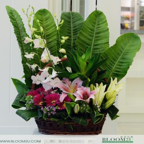 Online Flower Delivery In - Best Online Florist In Malaysia
