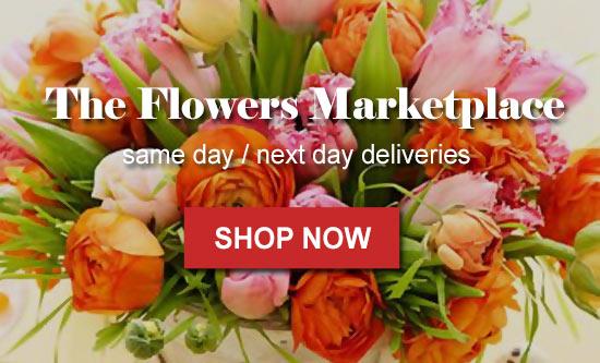 Extensive Network - Fastest Growing Online Florist