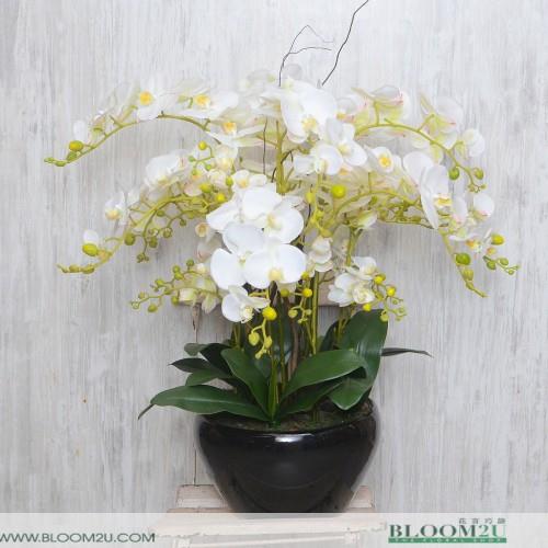 Flower Delivery In Malaysia - Online Flower Delivery