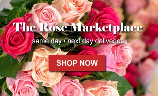Malaysia Flower Delivery - Flower Delivery Service
