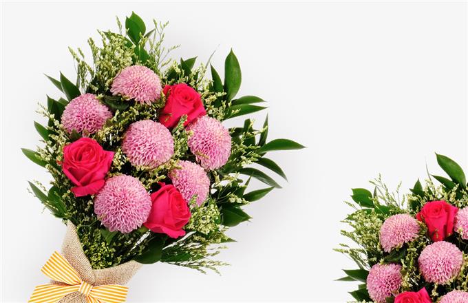 Enthusiast - Flower Delivery Malaysia Loves