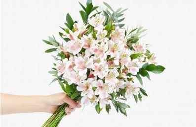 Flower Delivery Malaysia Can - Online Flower Delivery Malaysia