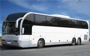 Now Free Consultancy - Tourist Coach Rental Service Company