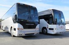 Leather Reclining - Deluxe Motor Coach