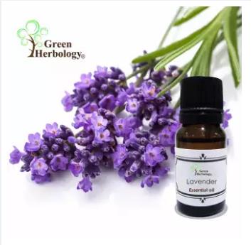 Pure Essential Oil - Pure Lavender Essential Oil