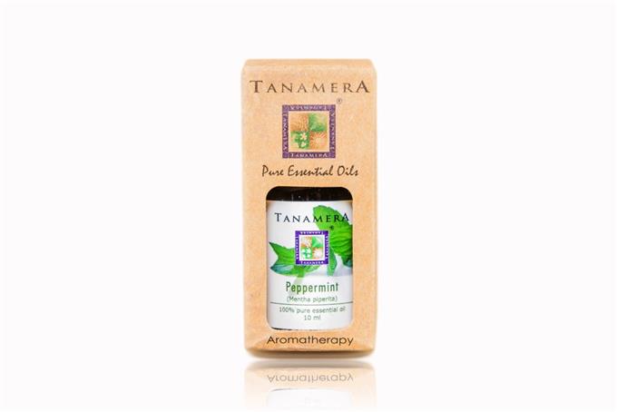 Essential Oil Peppermint - Tanamera Essential Oil