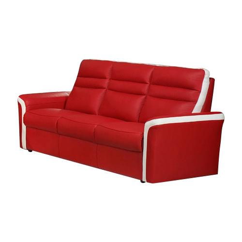 Half Leather Sofa - Somewhat Vintage Look Extremely Stylish