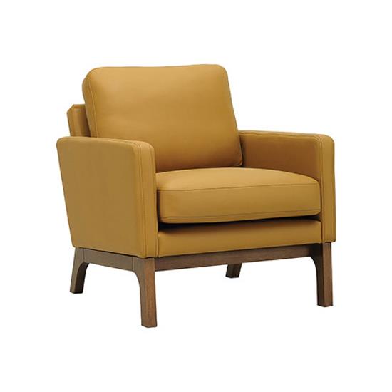 Single Seater Sofa - Styles Bring Timeless Design Living
