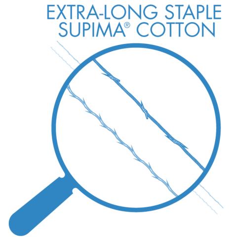 Cotton In - The American Supima Association Formed