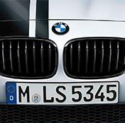 Striking - Bmw M Performance Front Grille