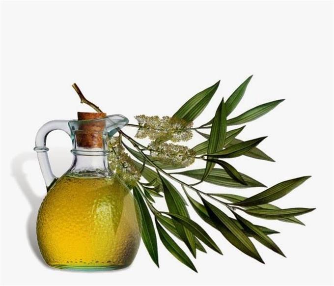 Tea Tree Oil - Tea Tree Essential Oil