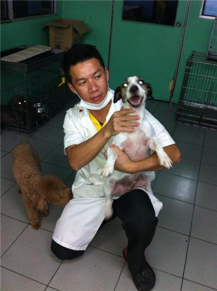 Lee Pet Supply Pet Grooming Kl Selangor - Shaving Fur Under Paws