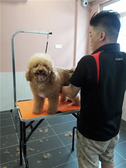 Esther Pet Station Pet Grooming Cheras Kl - State The Art Facility