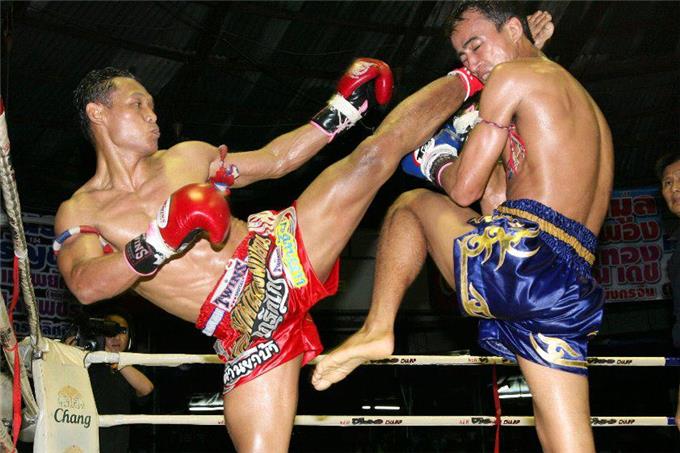 The Art Muay Thai - Mixed Martial Arts
