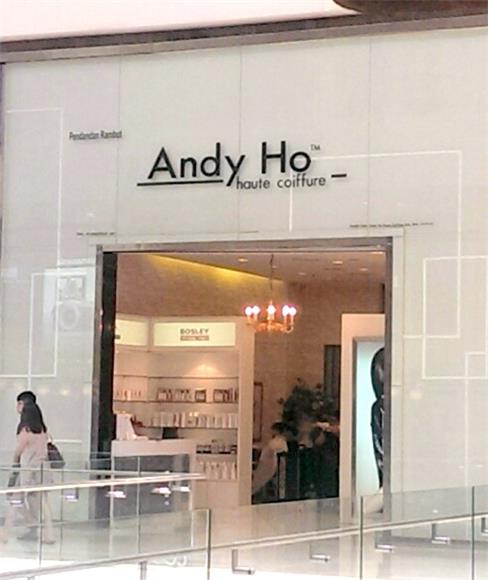 Andy Ho Haute Coiffure Offers