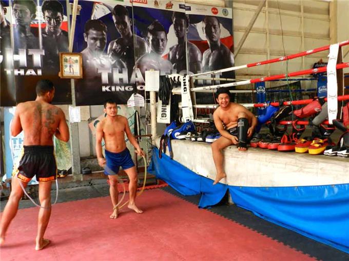 Fighter - Muay Thai Gym