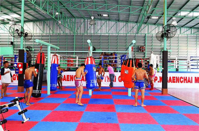 Fighter - Muay Thai Training
