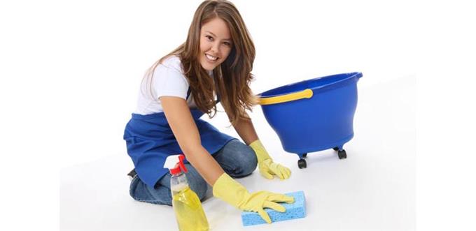 Management Costs - The Cost Hiring Domestic Maid