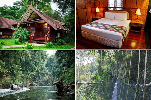 Mutiara Resort Taman Negara - Tempat Percutian Menarik Di Malaysia