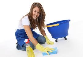 Trusted Maid Agency - Maintain The Highest Level