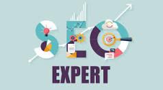 Find Seo Consultant - Top Seo Consultants 3rd Party