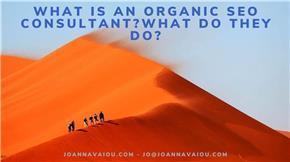 Organic Seo Consultant - Independent Organic Seo Consultant Do