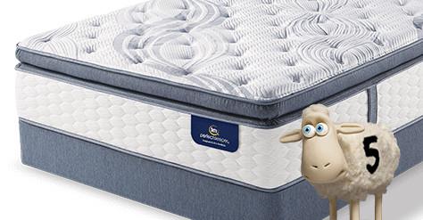 Perfect Sleeper The Official Mattress - Five Common Sleep Problems Tossing