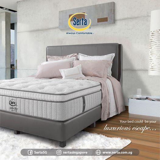 Own Bed In - Softly Cushioned Yet Beautifully Supportive
