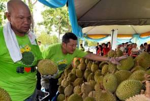 Melepaskan Peluang - Durian Musang King