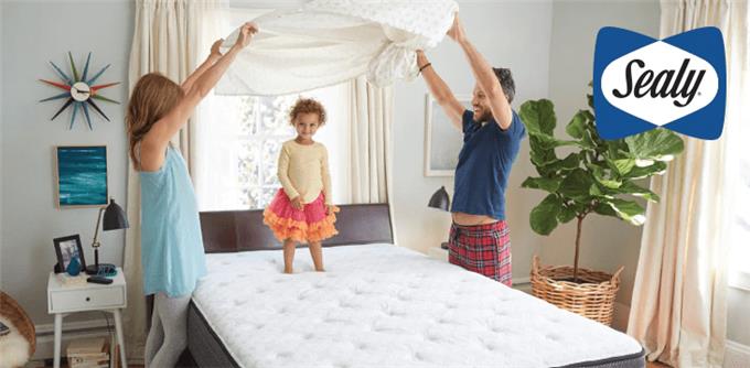 Cushioning Foam With Added Softness - Combines Sealy Support Firm Foam