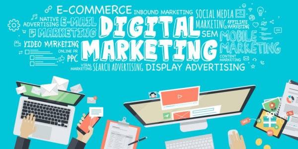 Consultancy - Digital Marketing Guide Specially Written