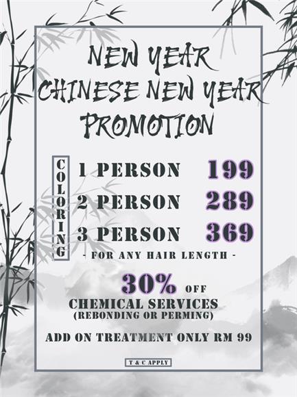 Chinese New Year Promotion - During Chinese New Year Period
