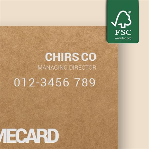 Provide Special - Eco Business Cards