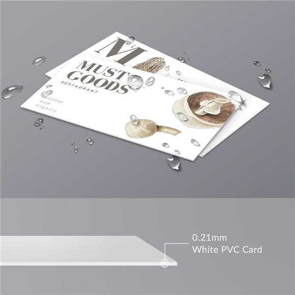 Stylish Solution - Plastic Business Cards