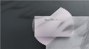 Branding - Foil Stamping Business Cards