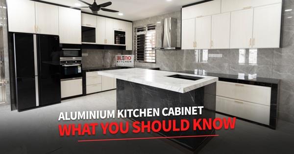 In Kitchen - Aluminium Kitchen Cabinet First Introduced